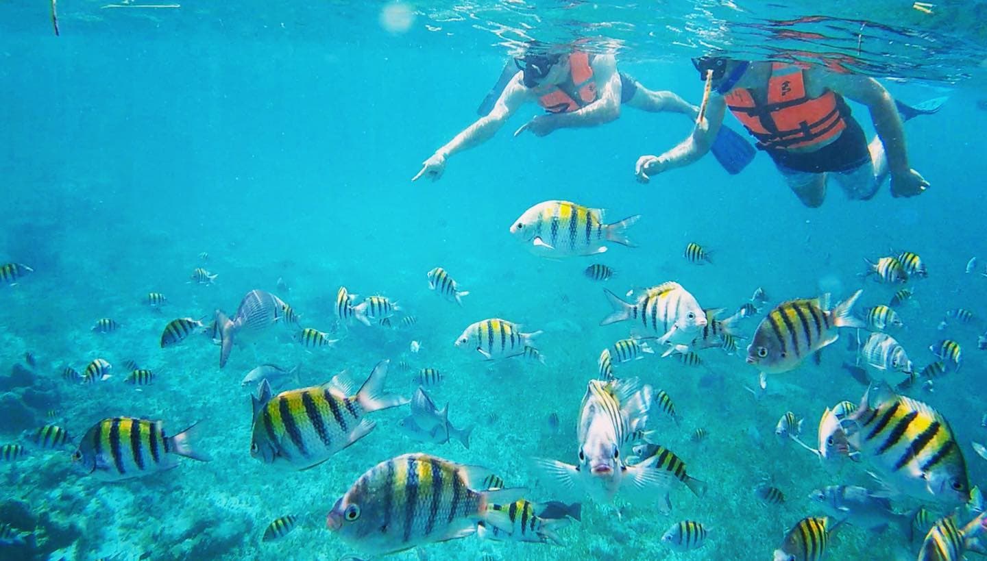 Snorkeling Experiences
