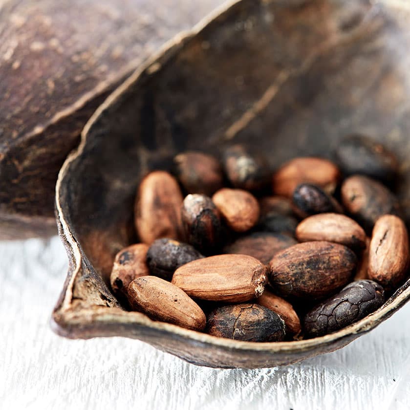 Cultural & Cacao Experiences