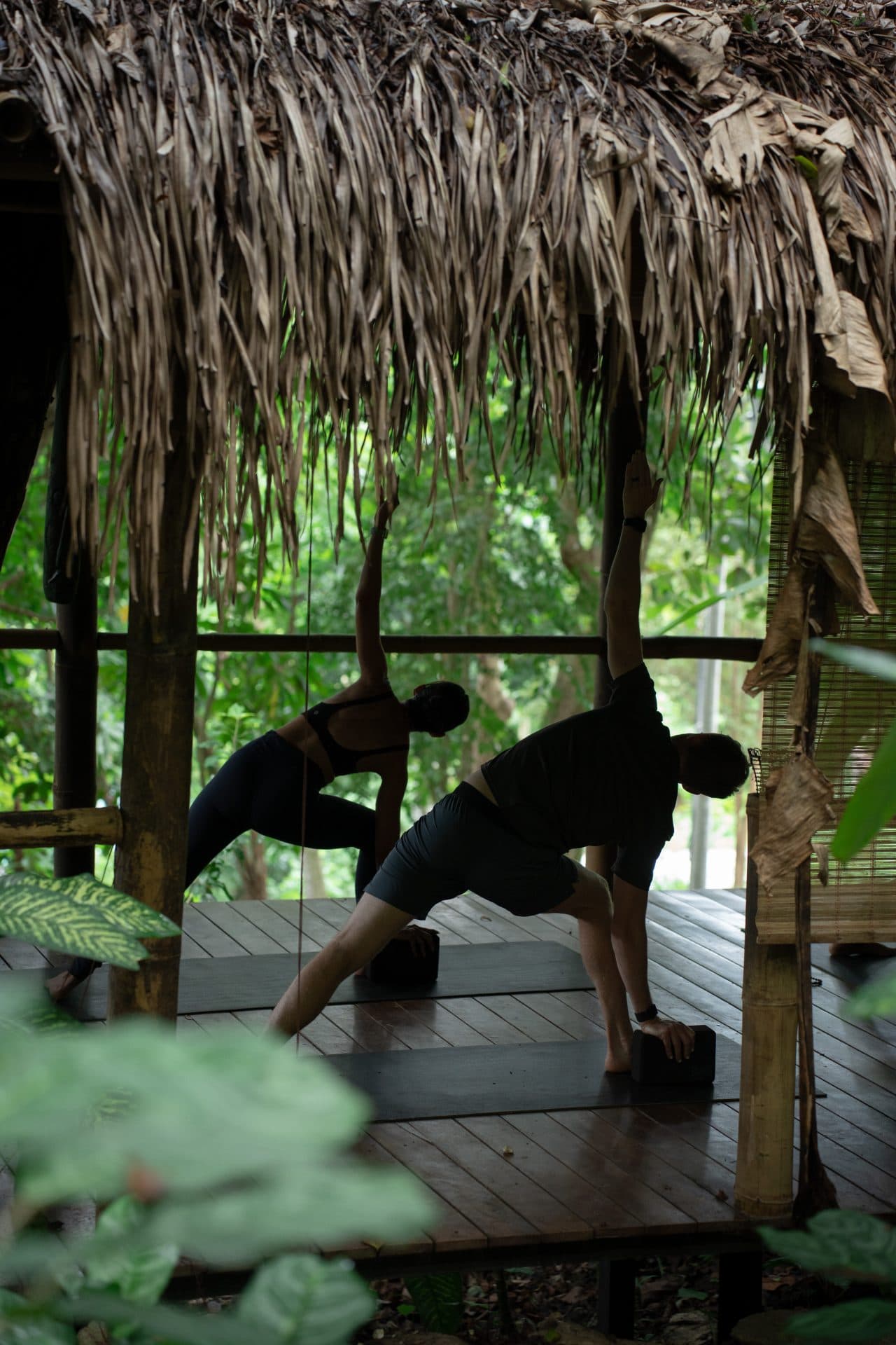 Hatha Yoga or Yin Yoga 75min