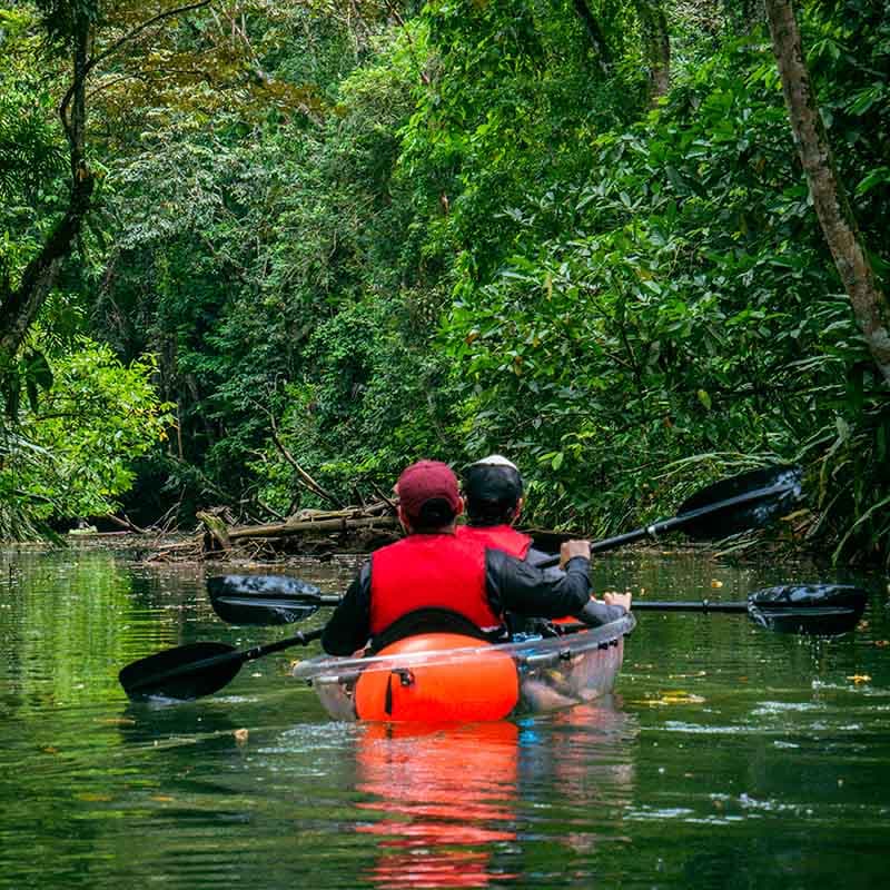 Kayaking Tours
