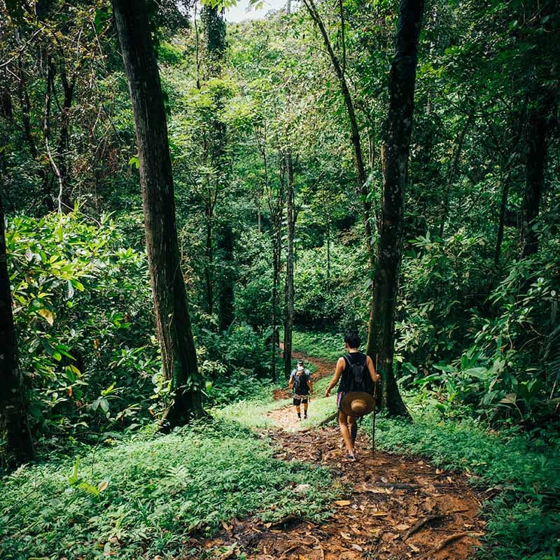 Hiking & Waterfall Excursions