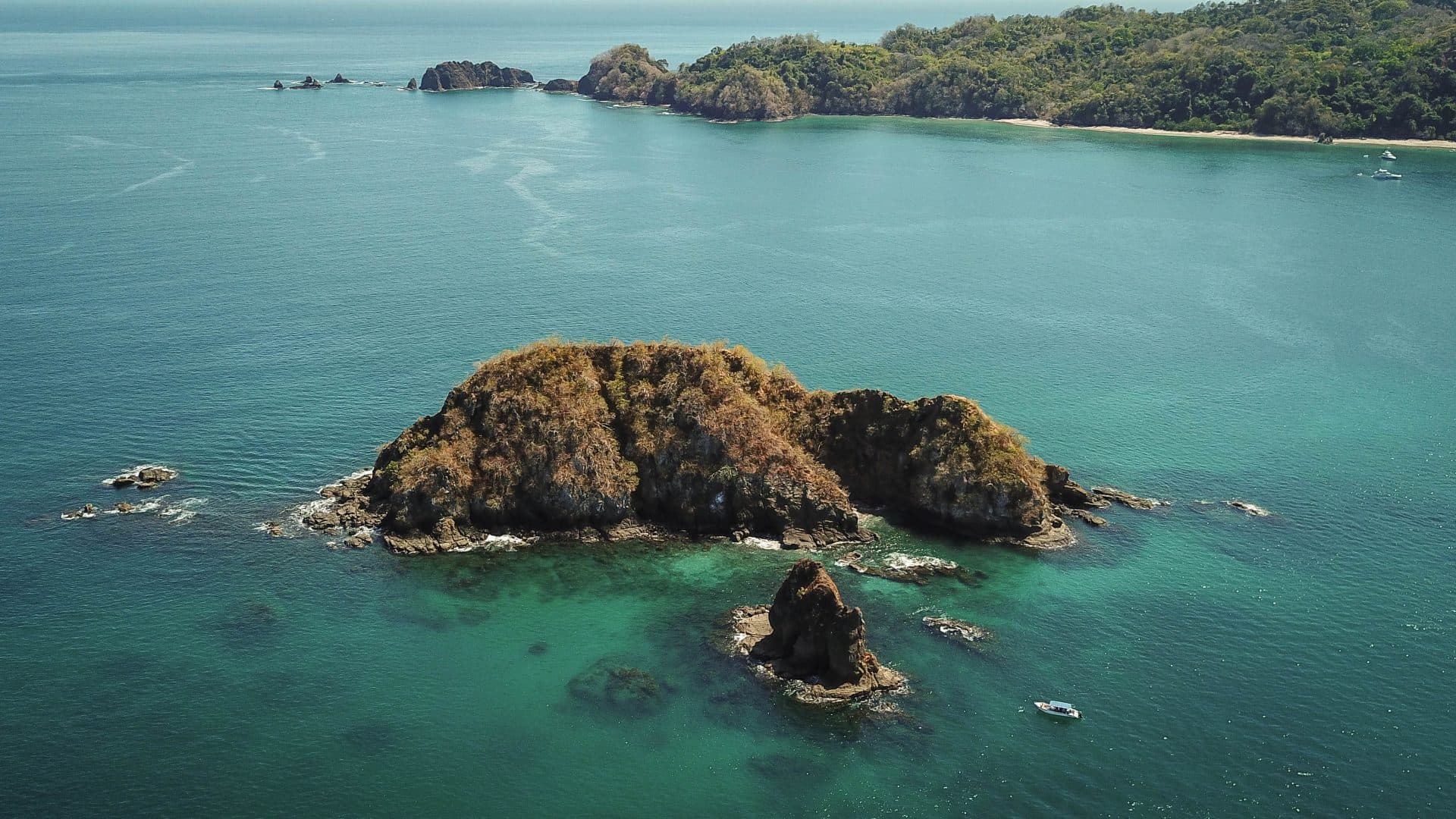 Tortuga Island Experiences