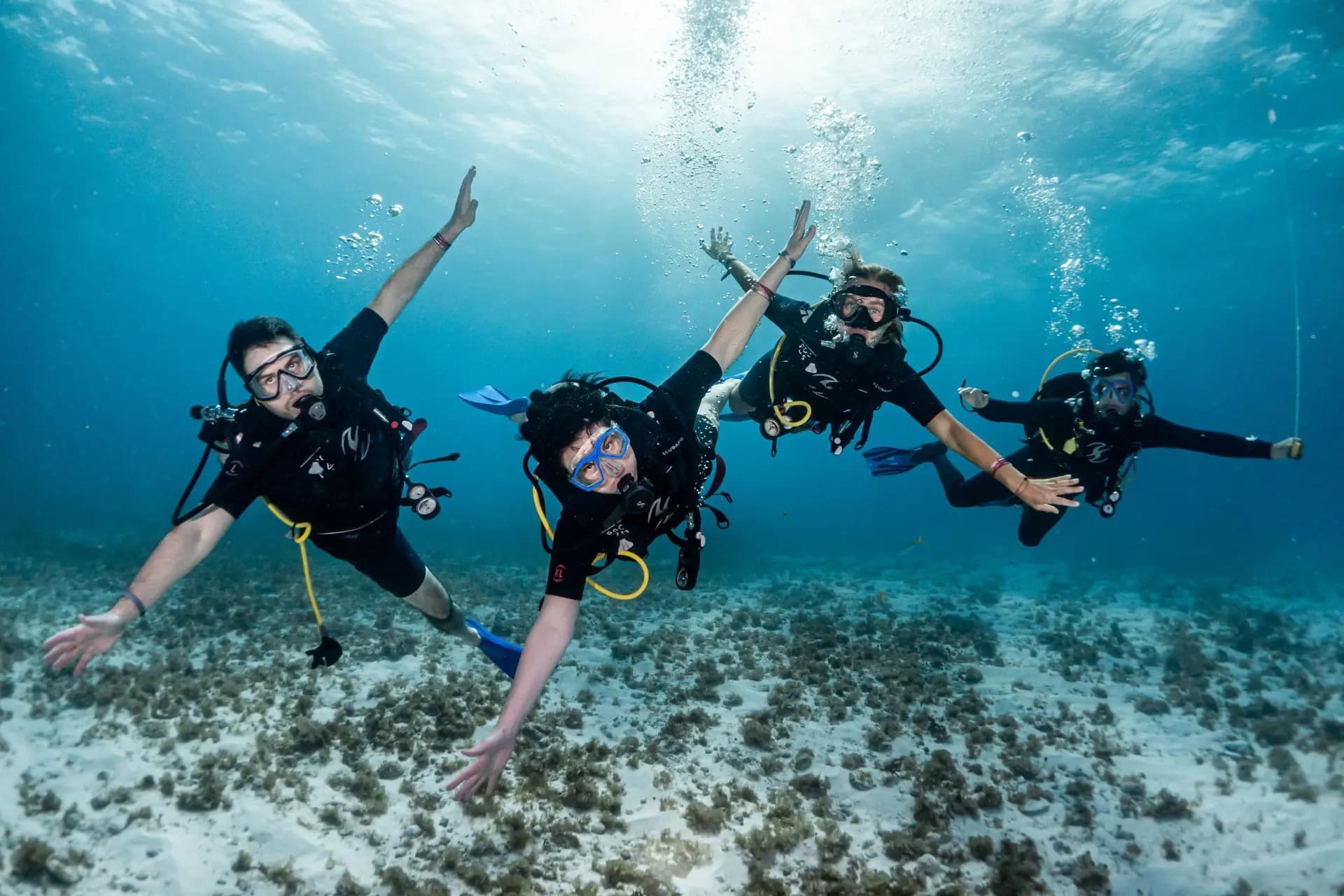 Scuba Diving Adventures