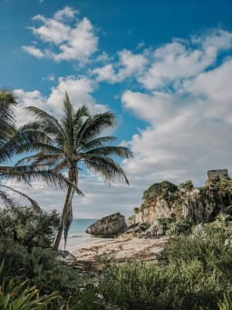 Paraiso Real Estate Tulum