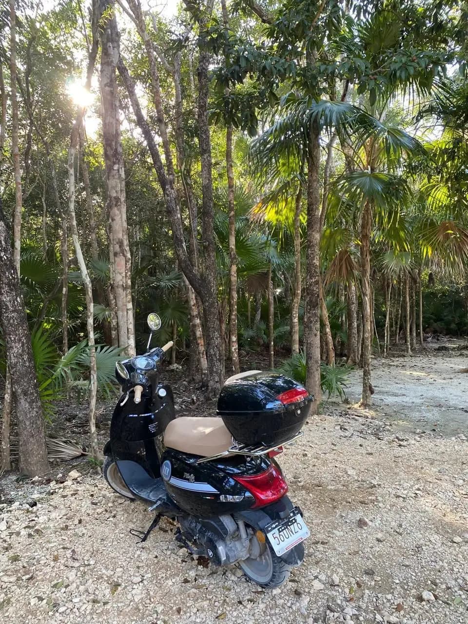 Tulum Scooter Rental – Easy &amp; Reliable Daily Scooter Hire
