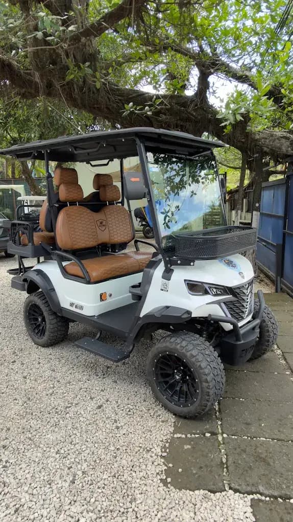 Tamarindo Golf Cart Rental Service